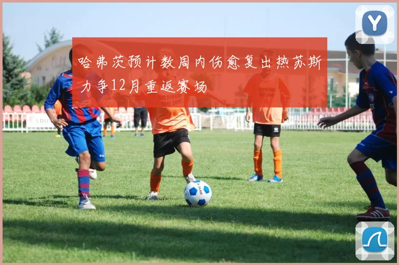 哈弗茨预计数周内伤愈复出热苏斯力争12月重返赛场