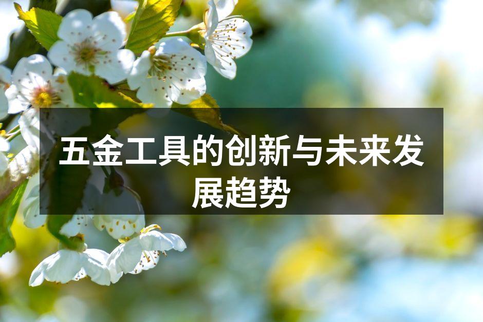 现代五金工具的多样性