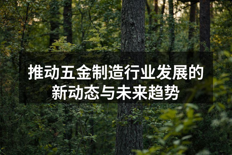 推动五金制造行业发展的新动态与未来趋势